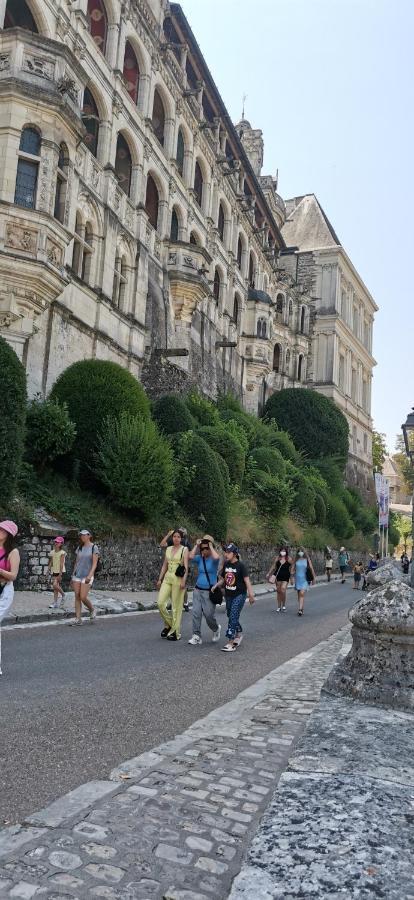 Апартаменты Le Logis De La Rue Des Arts Блуа Экстерьер фото