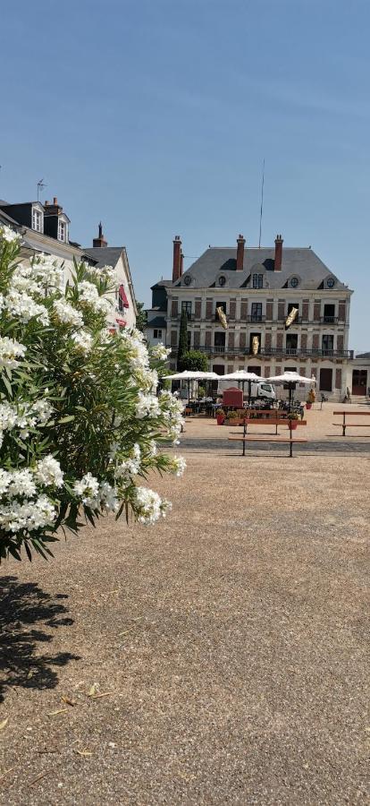 Апартаменты Le Logis De La Rue Des Arts Блуа Экстерьер фото