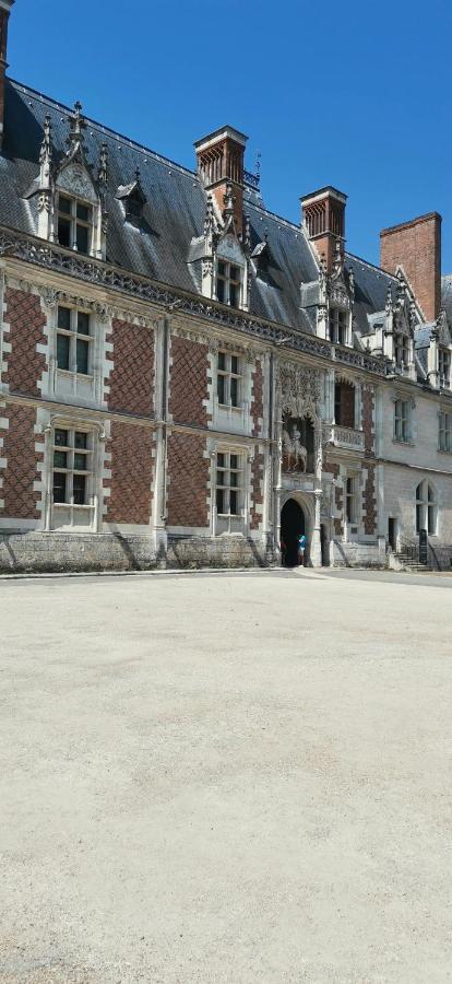 Апартаменты Le Logis De La Rue Des Arts Блуа Экстерьер фото